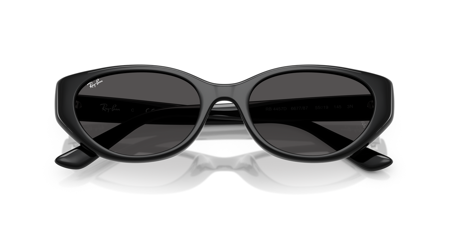 RAY-BAN | RB 4457D 667787