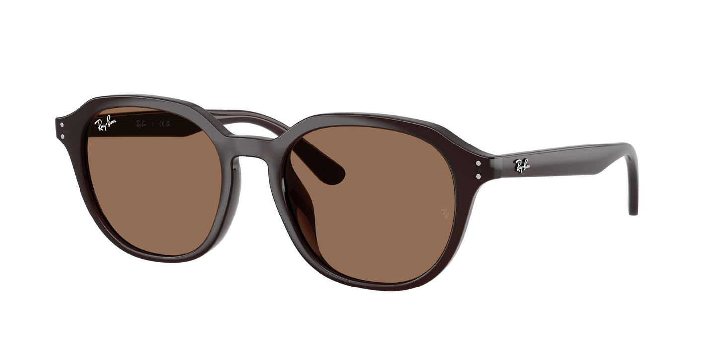 RAY-BAN | RB4459D 623173