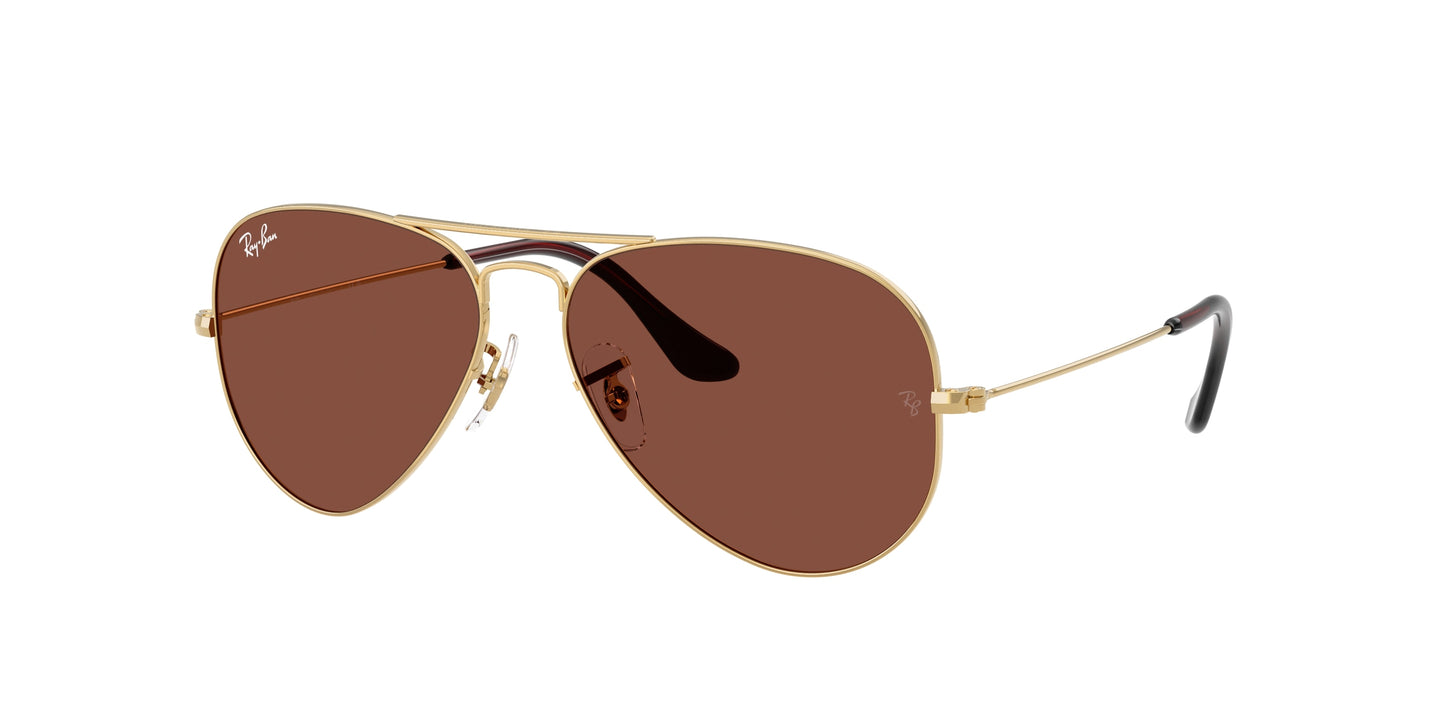 RAY-BAN | RB3025 001/C5