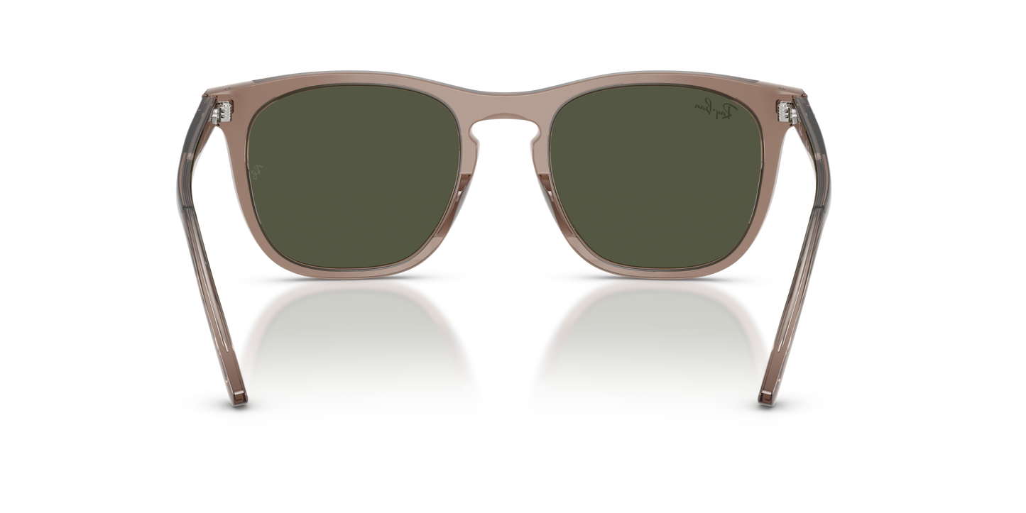 RAY-BAN | RB 2210 845731