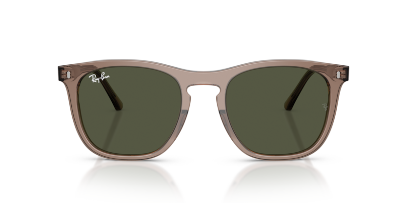 RAY-BAN | RB2210 845731
