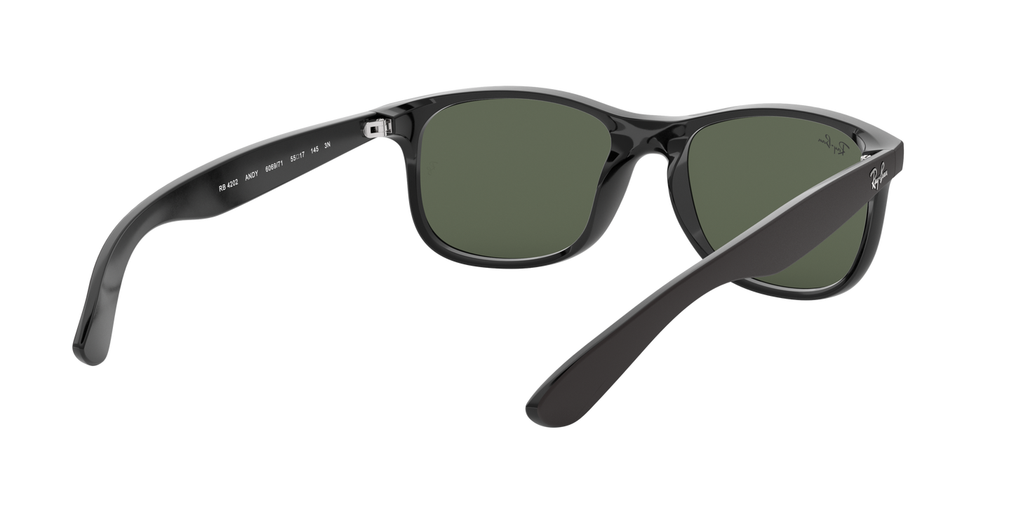 RAY-BAN | RB 4202 606971