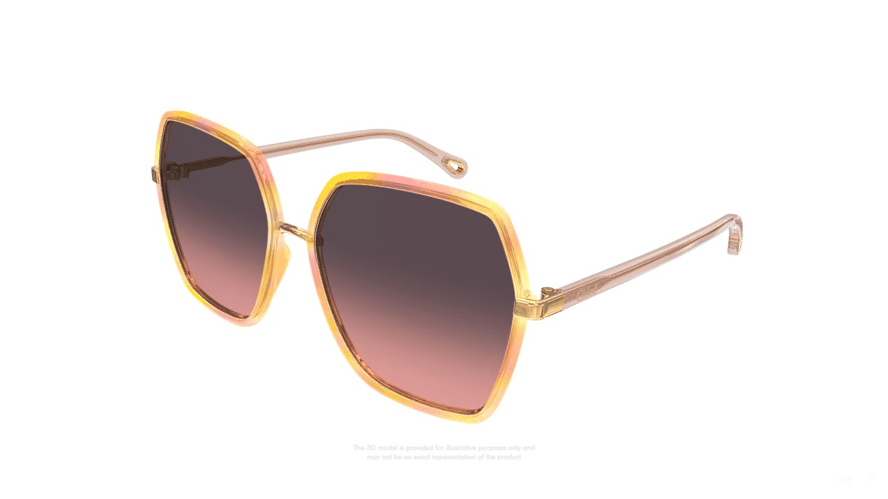 CHLOÉ | CH0262S 003