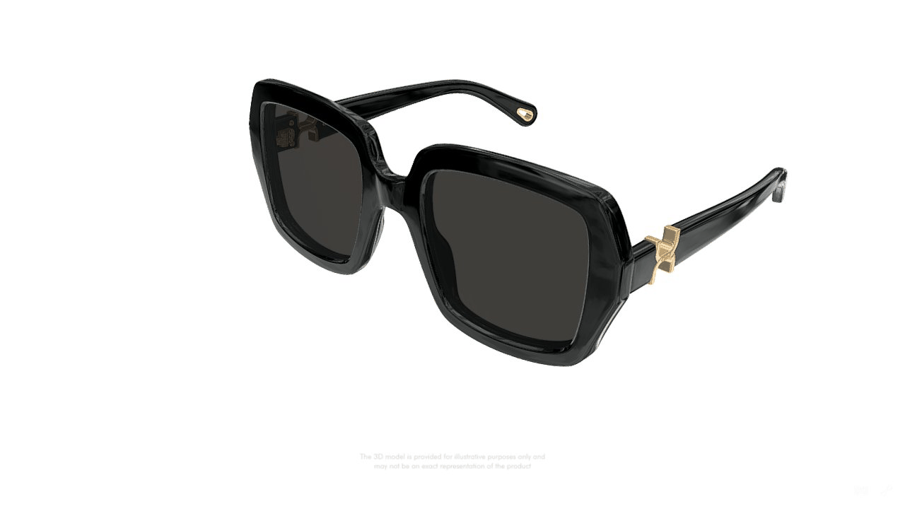 CHLOÉ | CH0301S 001