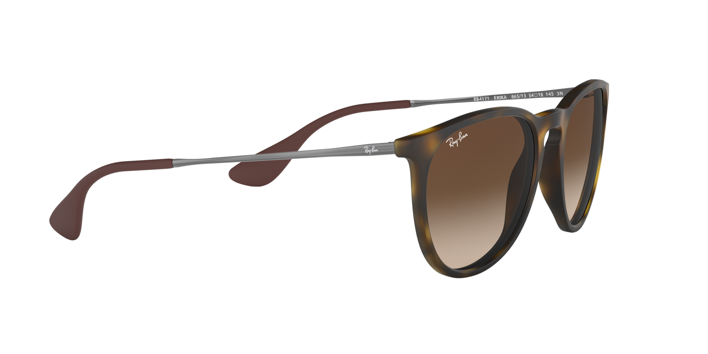 RAY-BAN | RB 4171 865/13