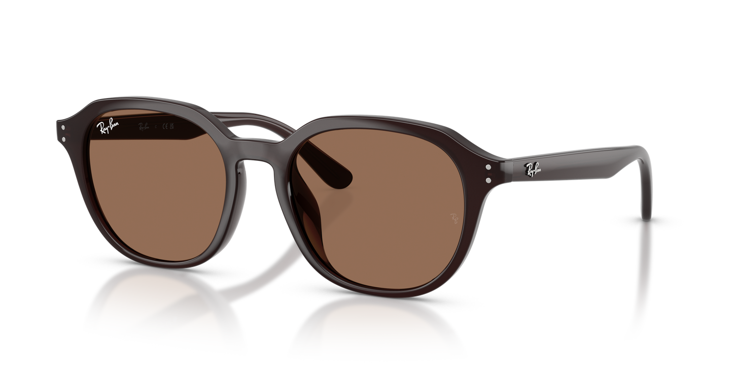 RAY-BAN | RB 4459D 623173