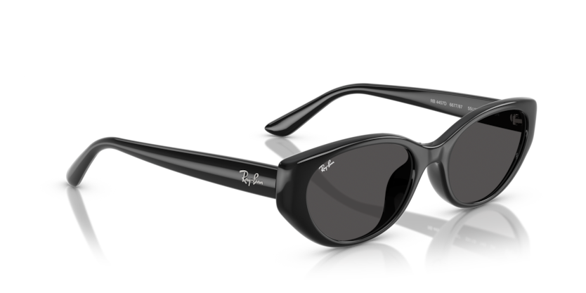RAY-BAN | RB4457D 667787