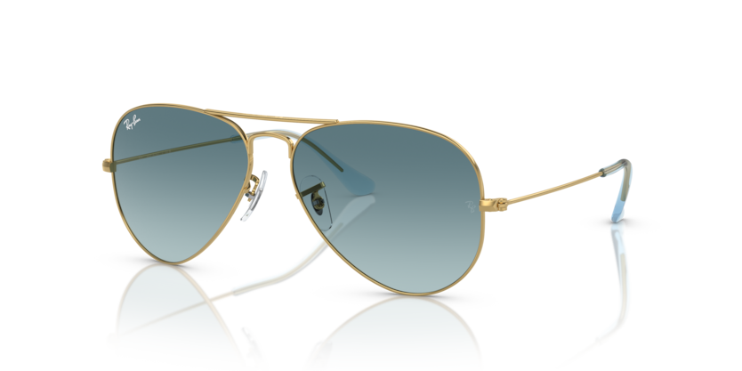 RAY-BAN | RB3025 001/3M