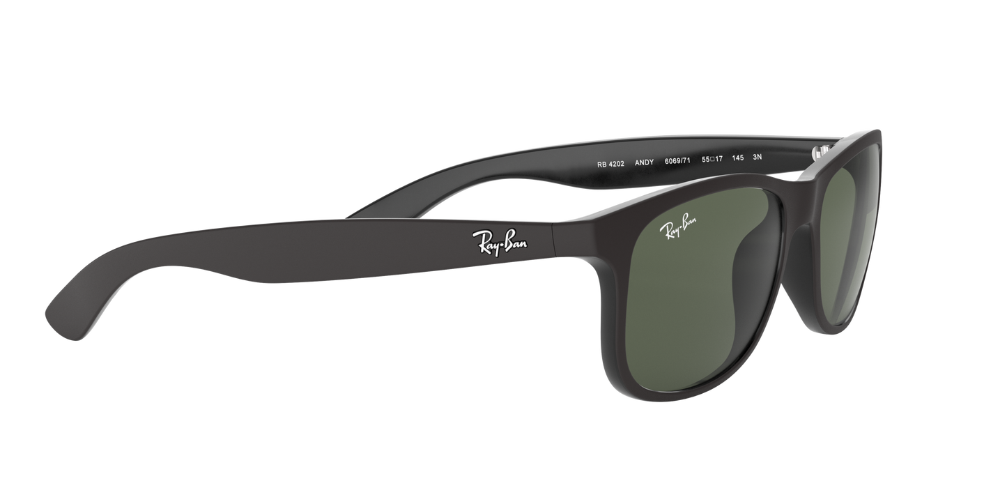 RAY-BAN | RB 4202 606971