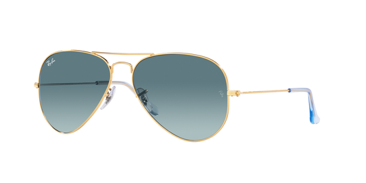 Lunettes de soleil RAY-BAN | RB 3025 001/3M - Les Frères Opticiens