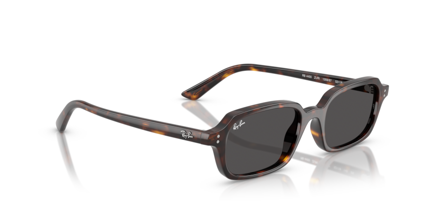 RAY-BAN | RB4455 135987