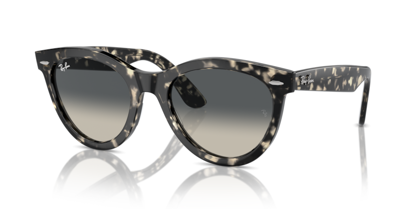 RAY-BAN | RB2241 133371