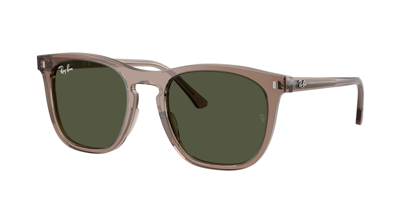 RAY-BAN | RB2210 845731