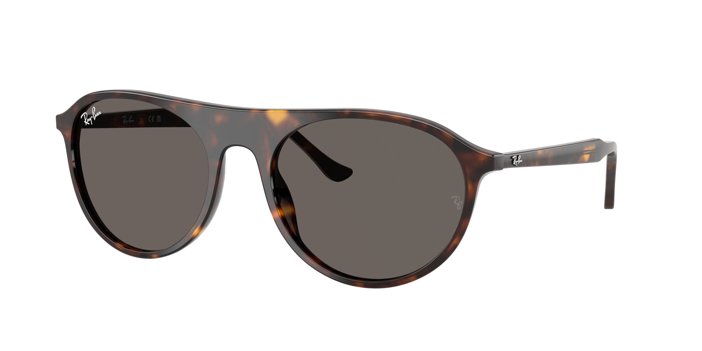 RAY-BAN | RB 2215 902/B1