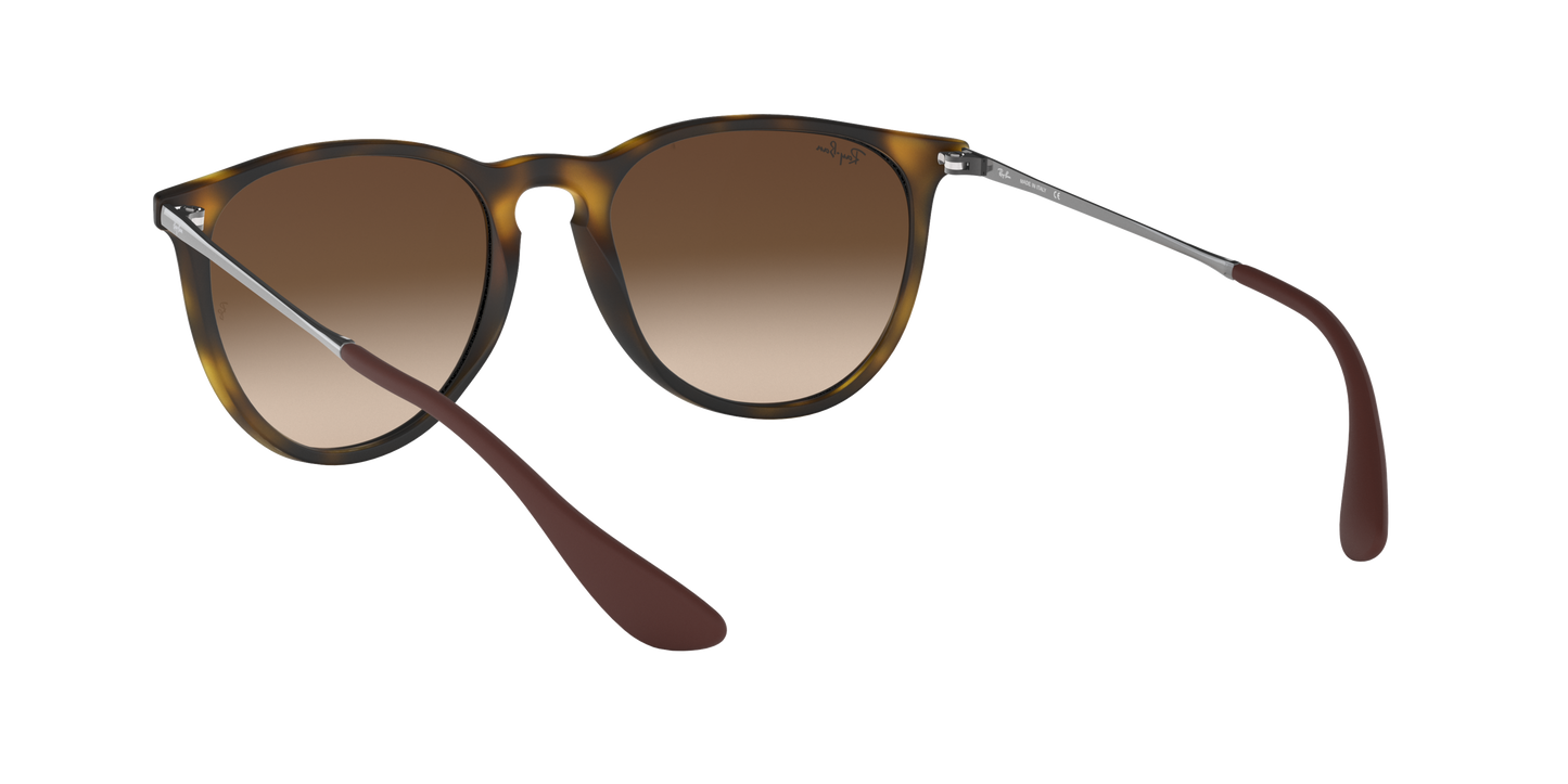 RAY-BAN | RB 4171 865/13