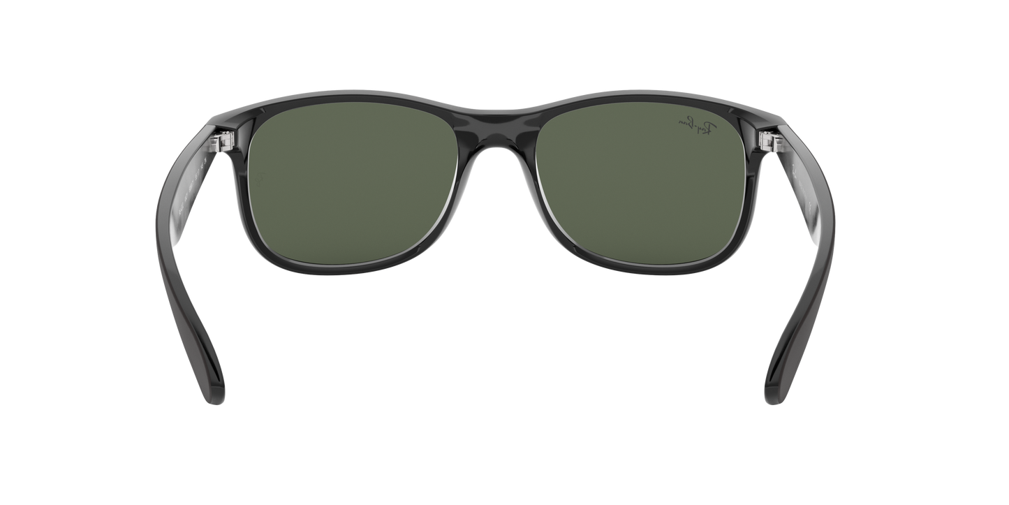 RAY-BAN | RB 4202 606971