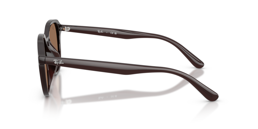 RAY-BAN | RB4459D 623173