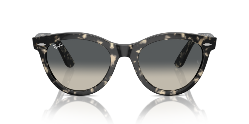 RAY-BAN | RB2241 133371