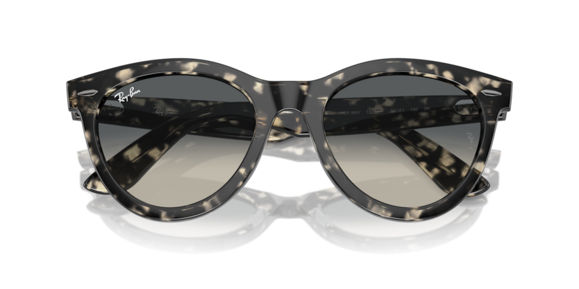 RAY-BAN | RB2241 133371