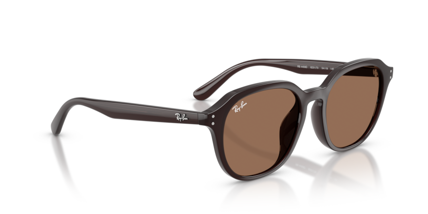 RAY-BAN | RB4459D 623173