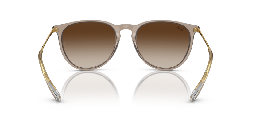 RAY-BAN | RB4171 674413