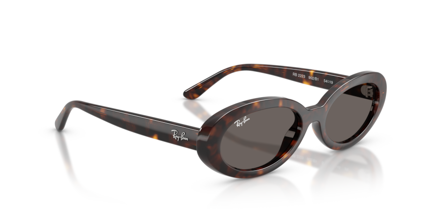 RAY-BAN | RB2223 902/B1