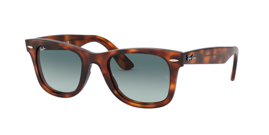Lunettes de soleil RAY-BAN | RB 4340 63973M - Les Frères Opticiens