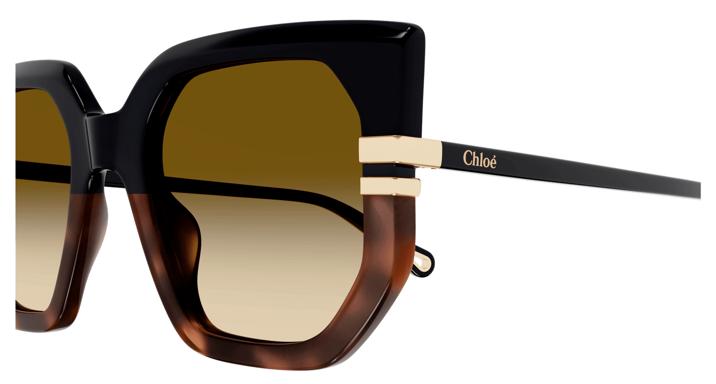 CHLOÉ | CH0240S 003