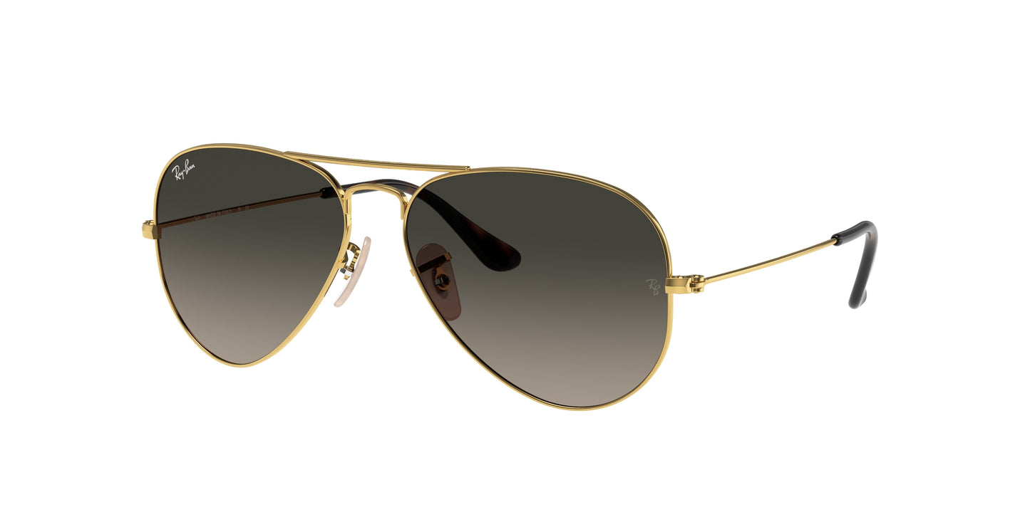 RAY-BAN | RB3025 181/71