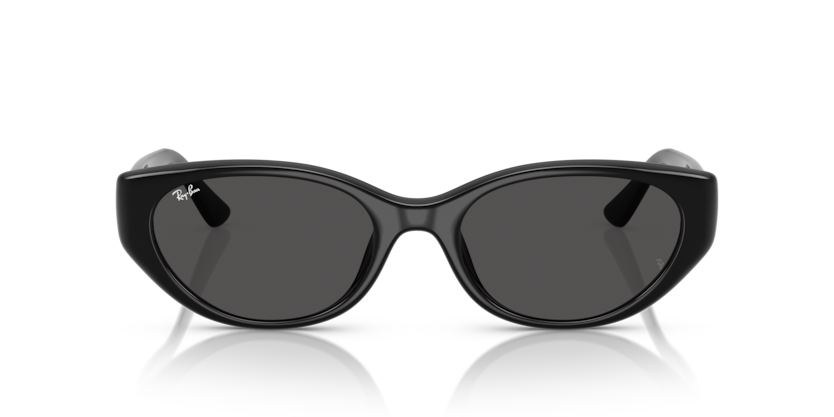 RAY-BAN | RB4457D 667787