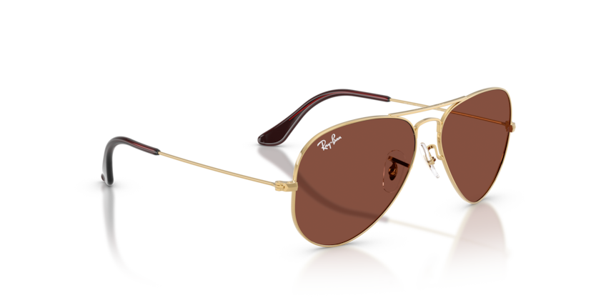 RAY-BAN | RB3025 001/C5