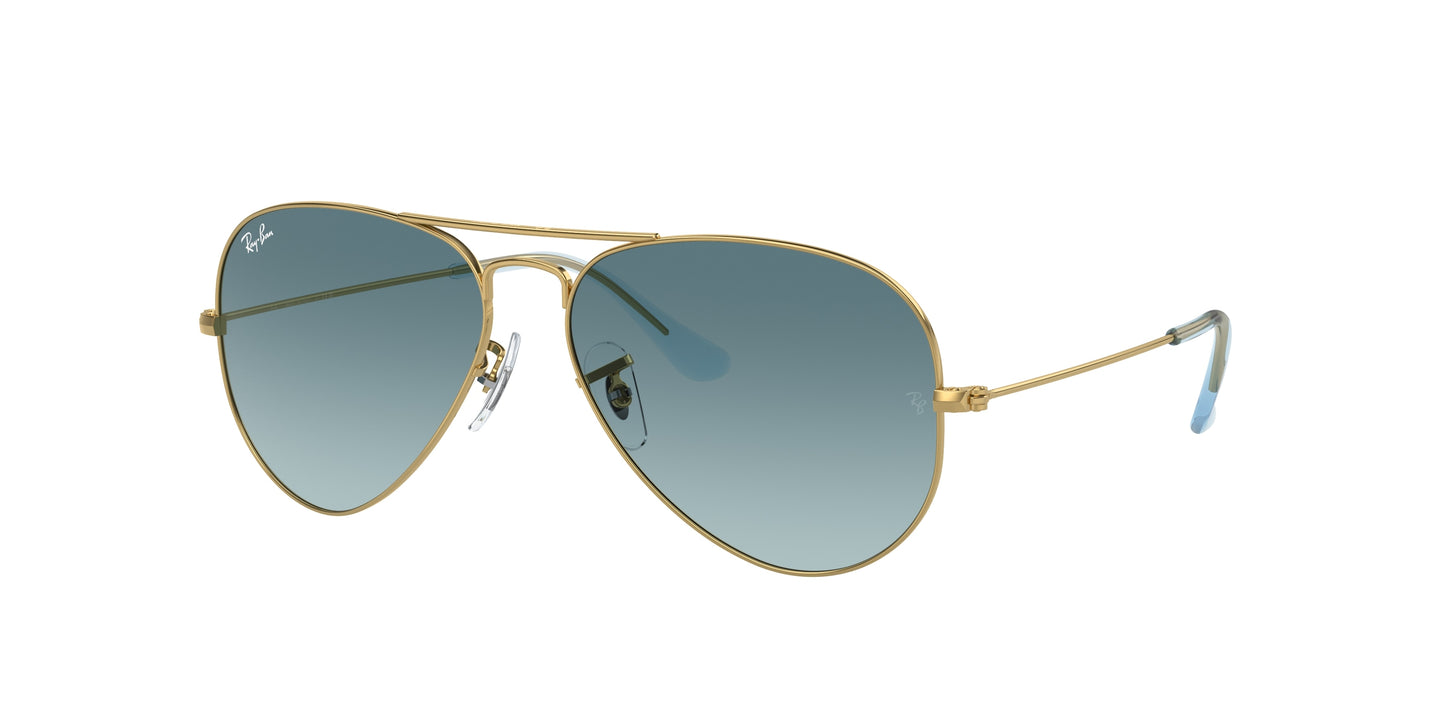 RAY-BAN | RB3025 001/3M
