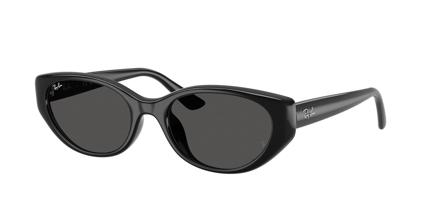 RAY-BAN | RB4457D 667787