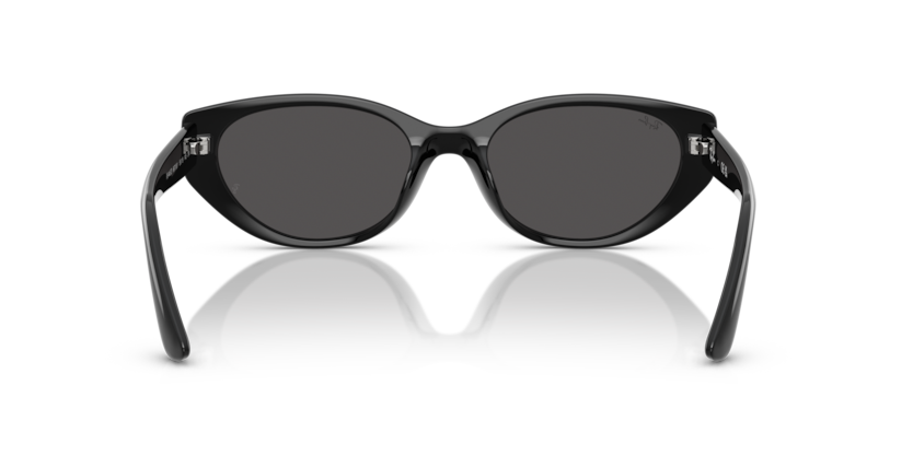 RAY-BAN | RB4457D 667787