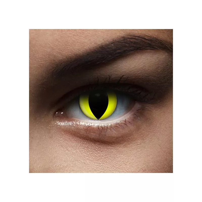 LENTILLES DEMONIAC