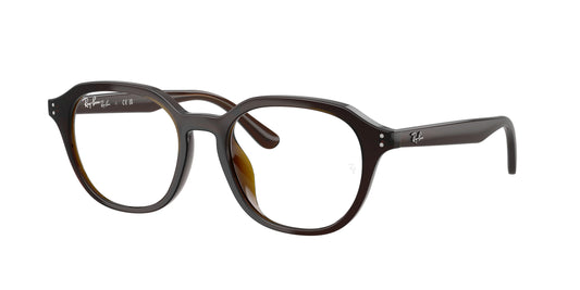 RAY-BAN | RX7259D 8502 - Les Frères Opticiens