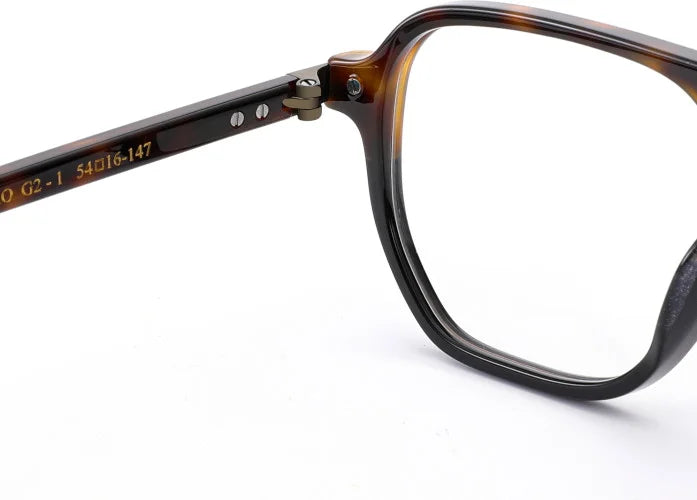 FRENCH RETRO | FABIO G2 - Les Frères Opticiens