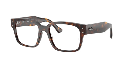RAY-BAN | RX7256 8320 - Les Frères Opticiens