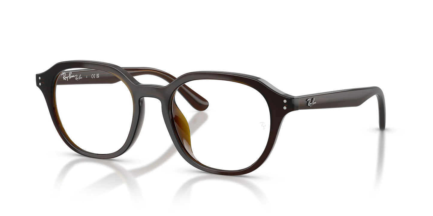 RAY-BAN | RX7259D 8502 - Les Frères Opticiens
