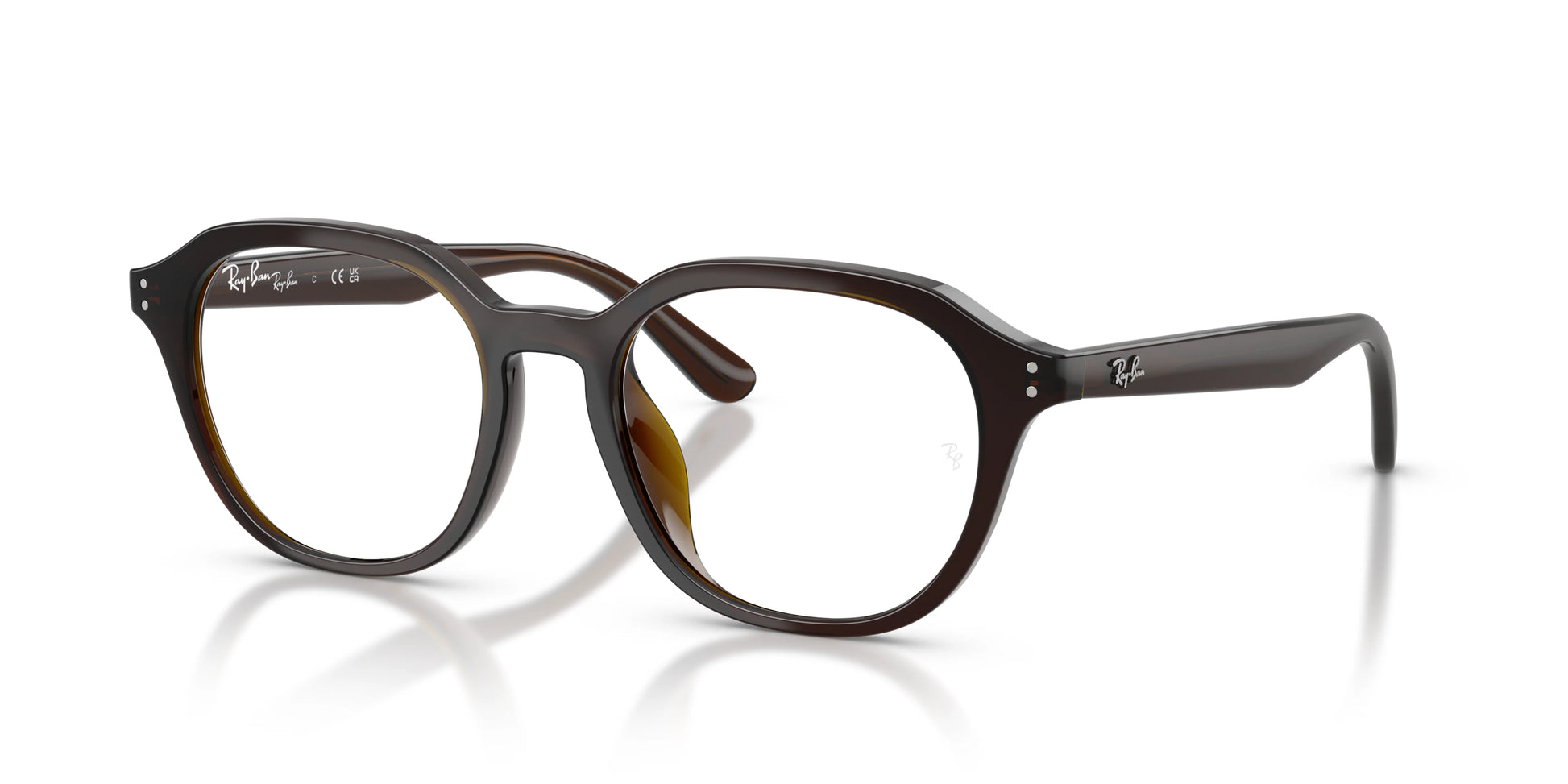 RAY-BAN | RX7259D 8502 - Les Frères Opticiens