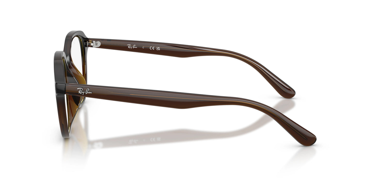 RAY-BAN | RX7259D 8502 - Les Frères Opticiens
