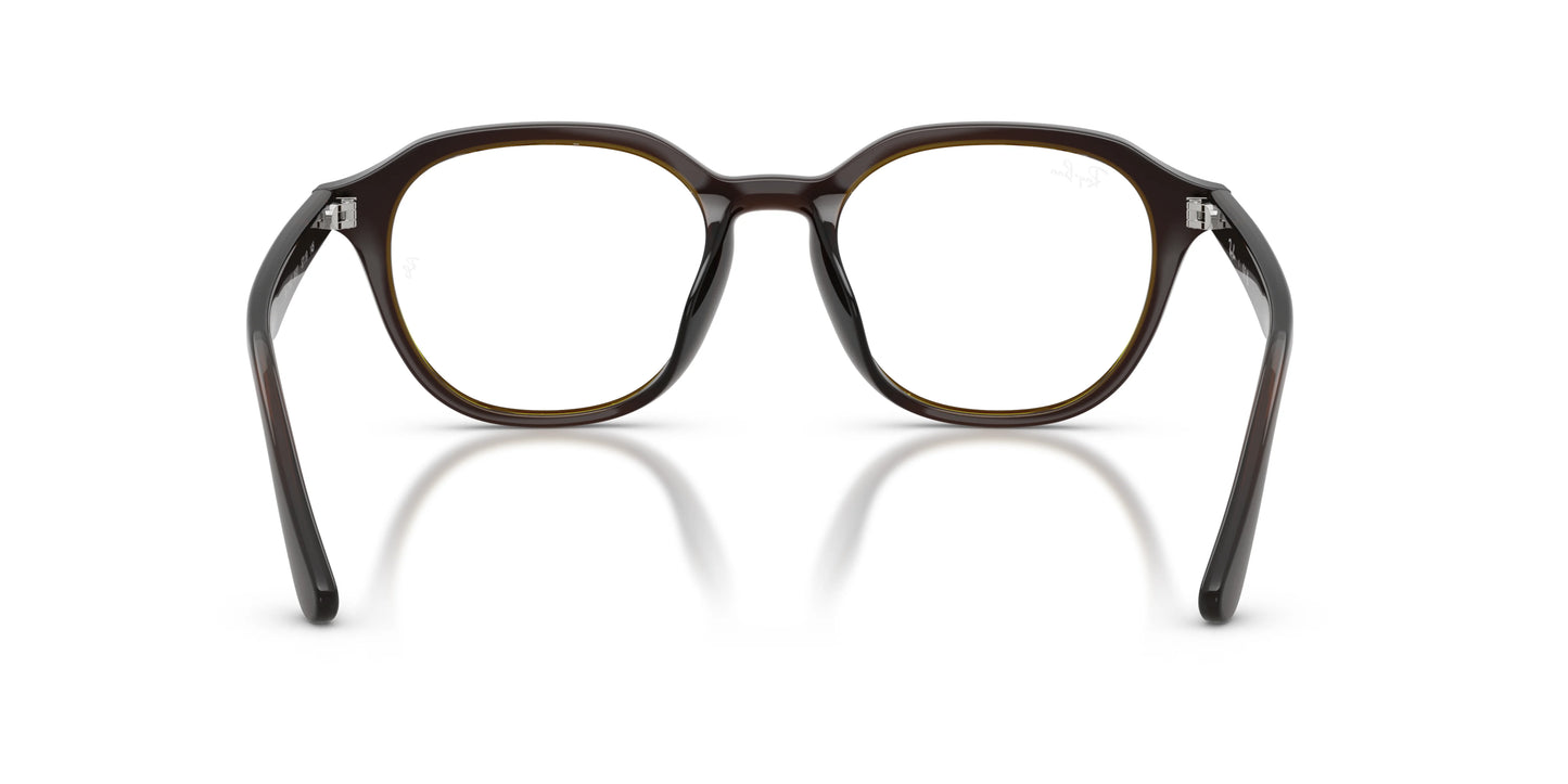 RAY-BAN | RX7259D 8502 - Les Frères Opticiens