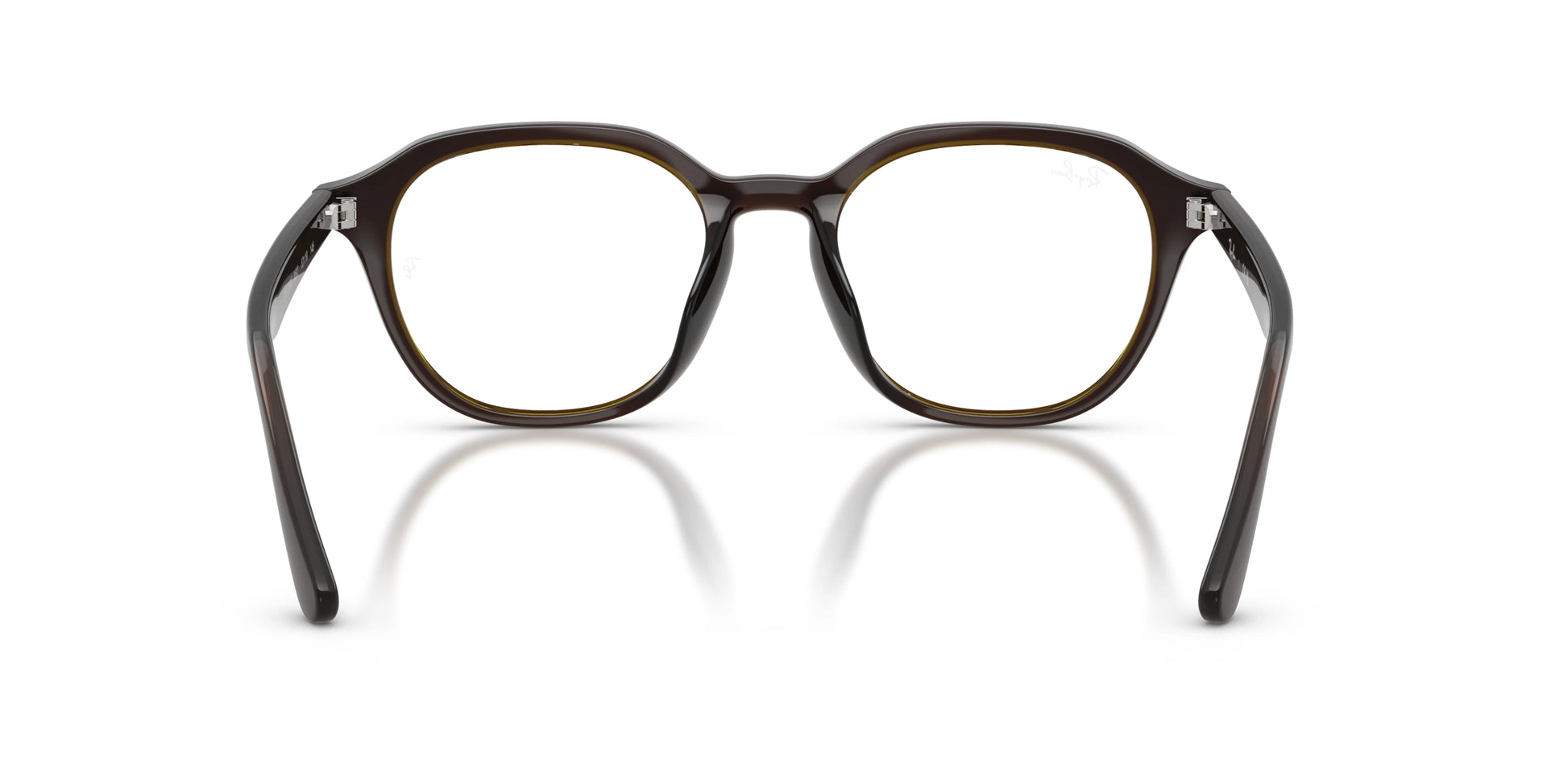 RAY-BAN | RX7259D 8502 - Les Frères Opticiens