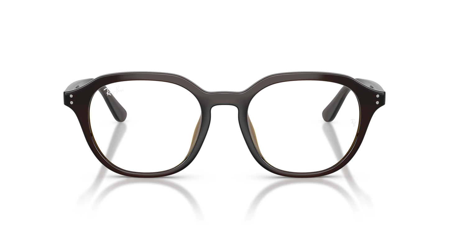 RAY-BAN | RX7259D 8502 - Les Frères Opticiens