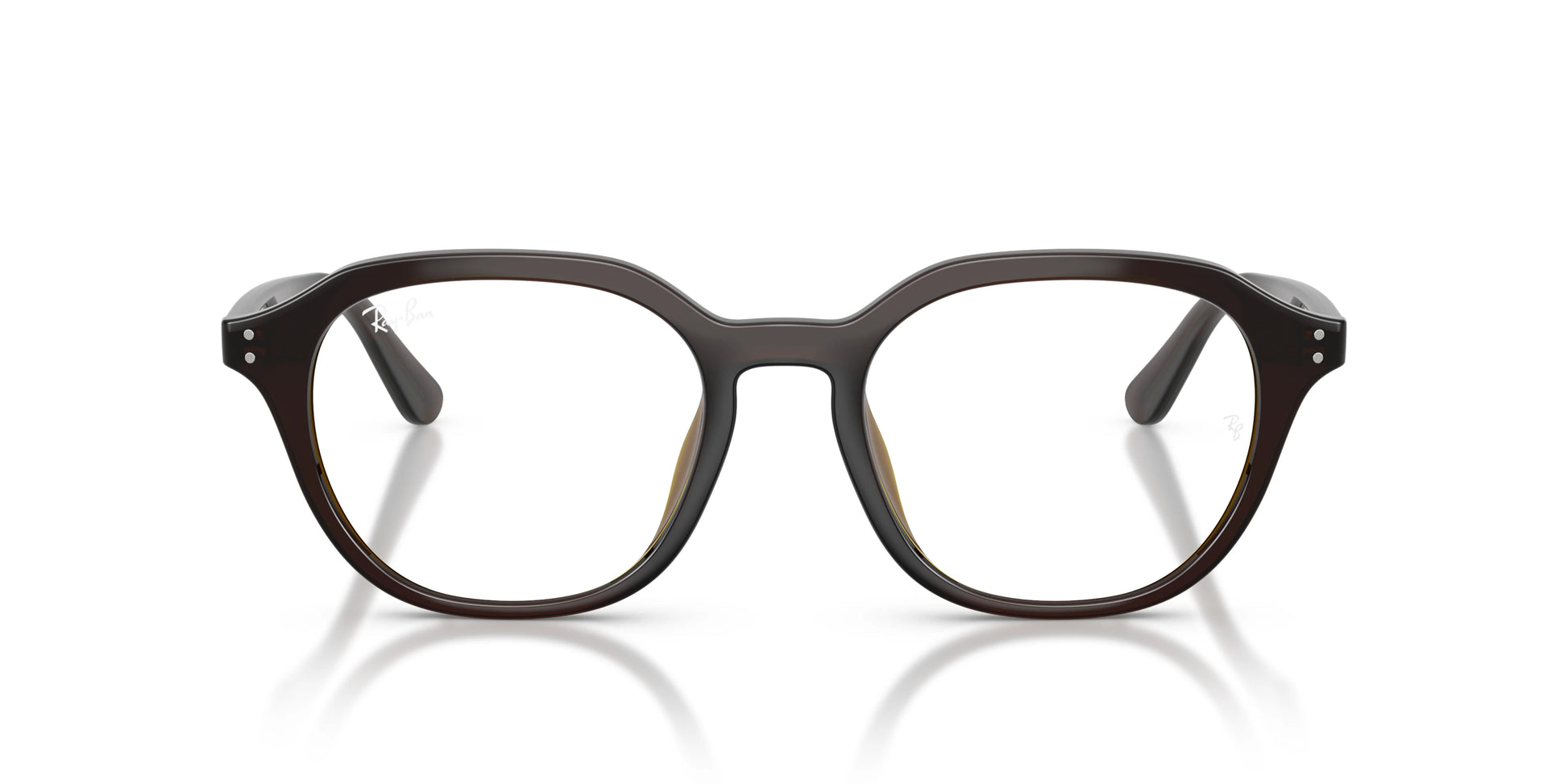 RAY-BAN | RX7259D 8502 - Les Frères Opticiens