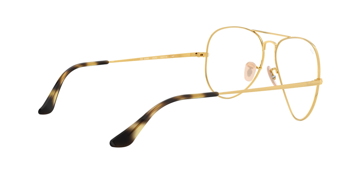 RAY-BAN | RX6489 2500 - Les Frères Opticiens