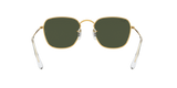 Ray-Ban | RB 3857 9196/31